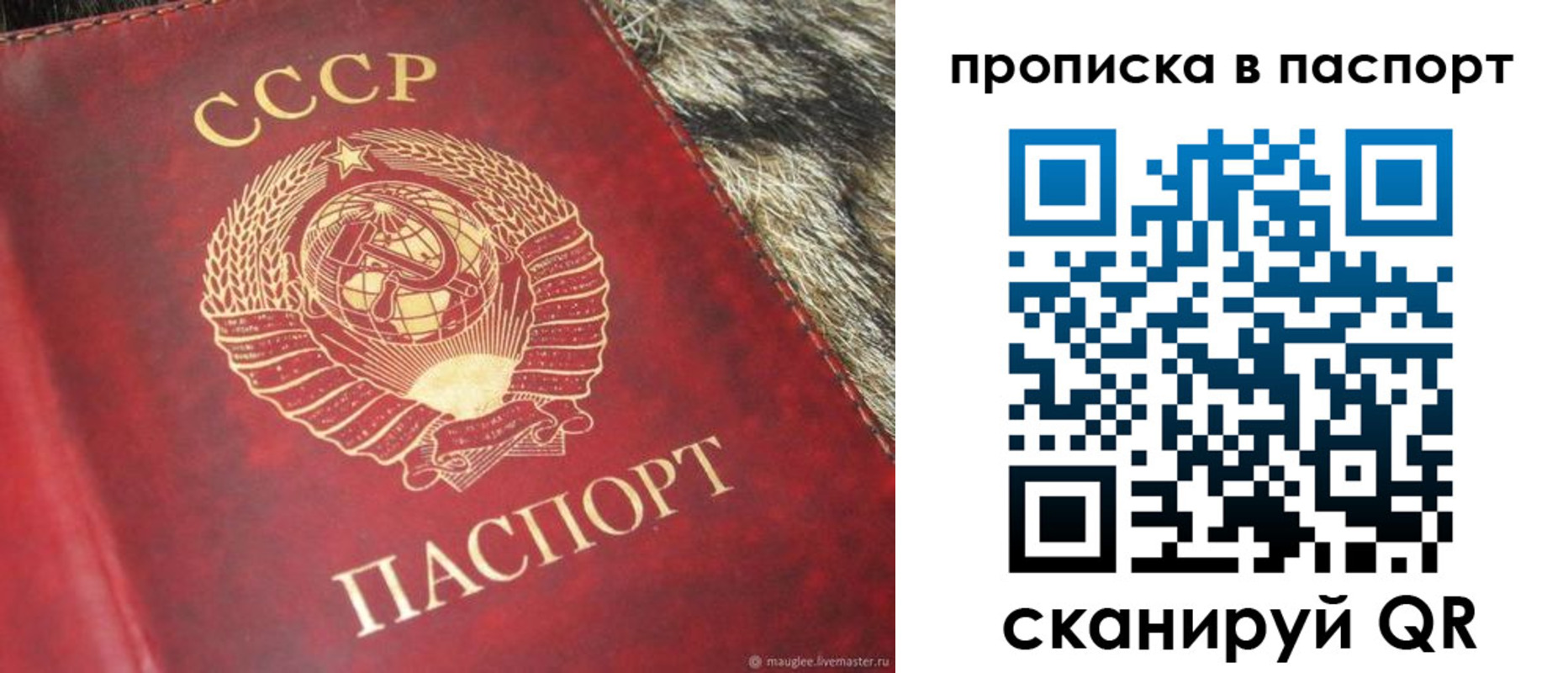 временная регистрация для всех в Светлограде